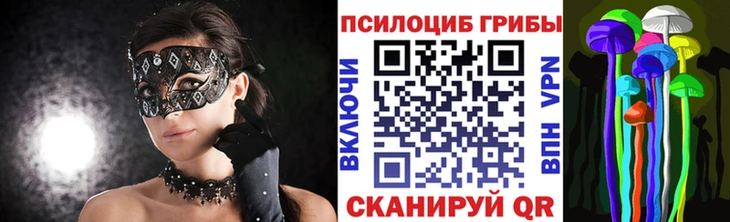 Купить закладки  Закаменск  Псилоцибиновые грибы Psilocybine cubensis 